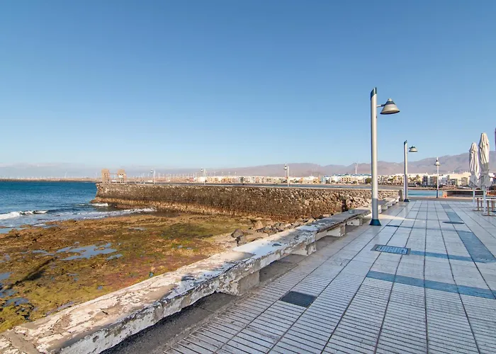 La Terrasse Des Amis